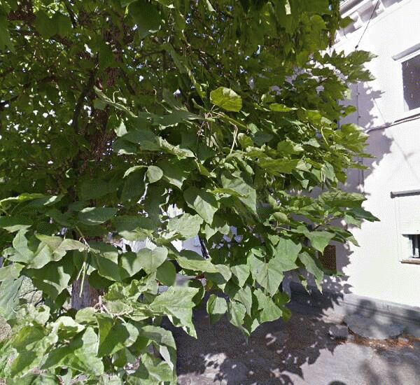 Отделение Генбанка по адресу ш. Нефтяников,  д. 5/1